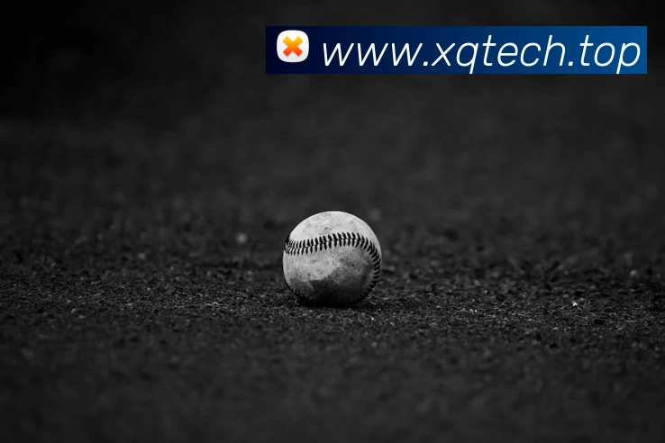 星空体育官网发展历程